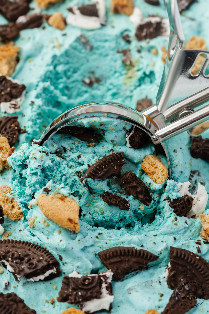 Cookie Monster Ice Cream: Is Homemade Better Than Store-Bought?
